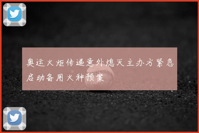 奥运火炬传递意外熄灭主办方紧急启动备用火种预案