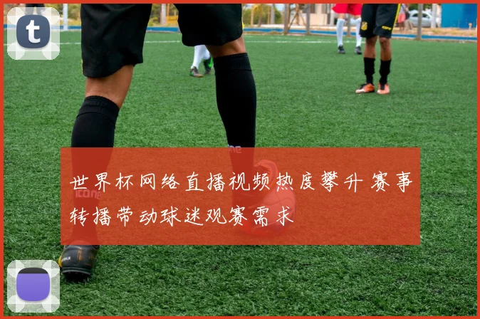 世界杯网络直播视频热度攀升 赛事转播带动球迷观赛需求