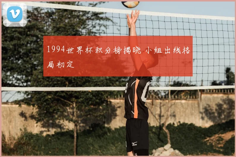 1994世界杯积分榜揭晓 小组出线格局初定