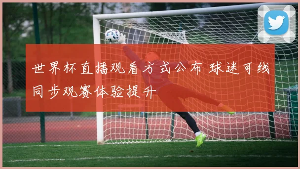世界杯直播观看方式公布 球迷可线同步观赛体验提升