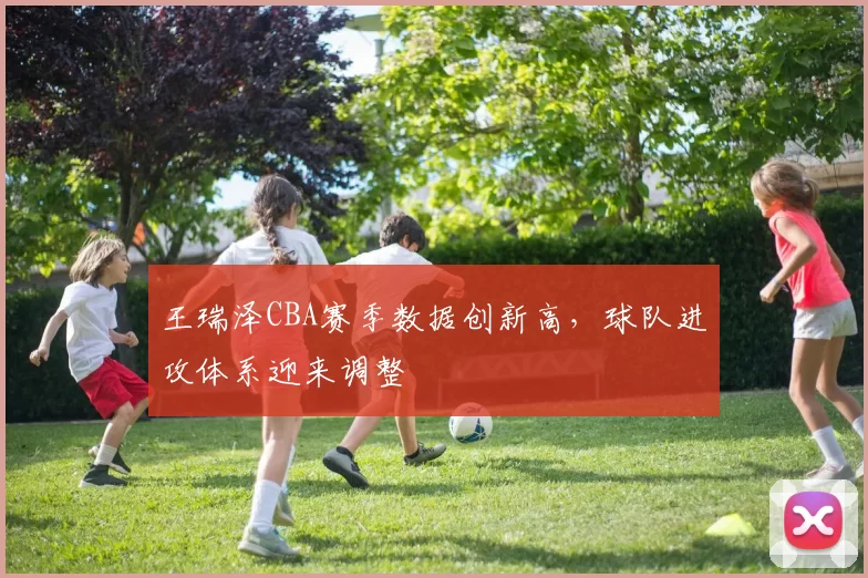 王瑞泽CBA赛季数据创新高，球队进攻体系迎来调整